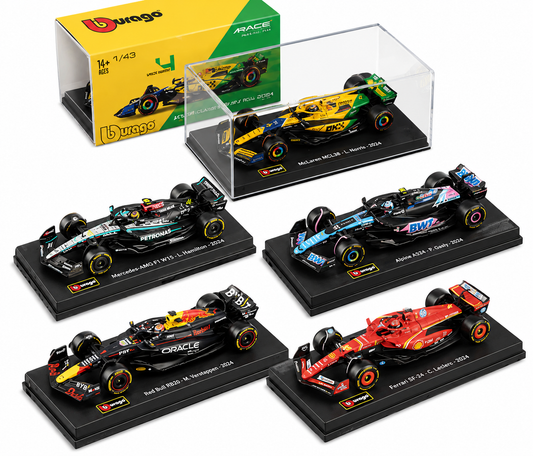 F1 Helmet Champion Edition