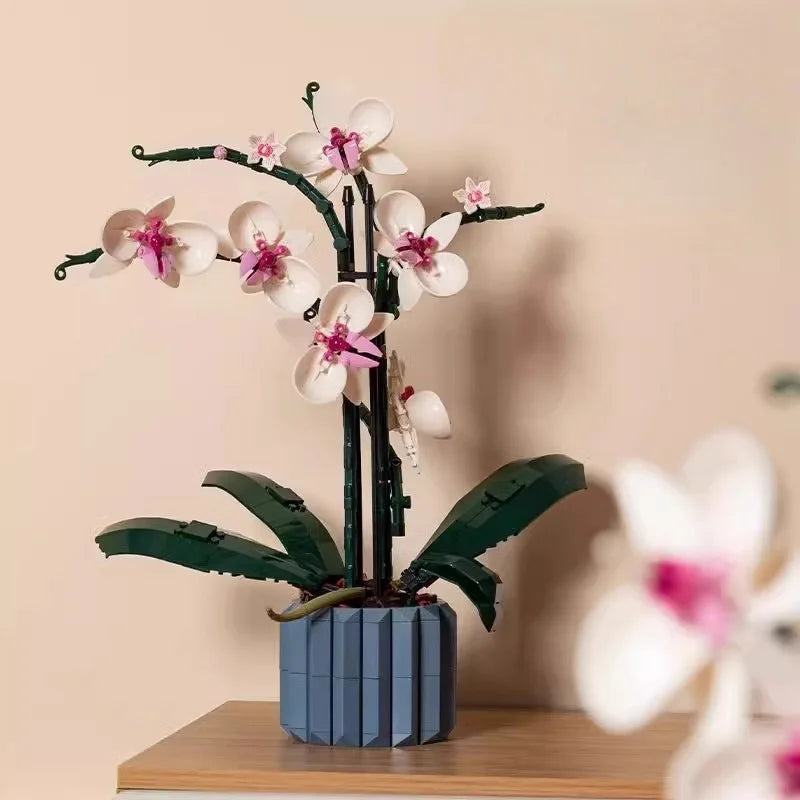 Orchid Bloom Collection