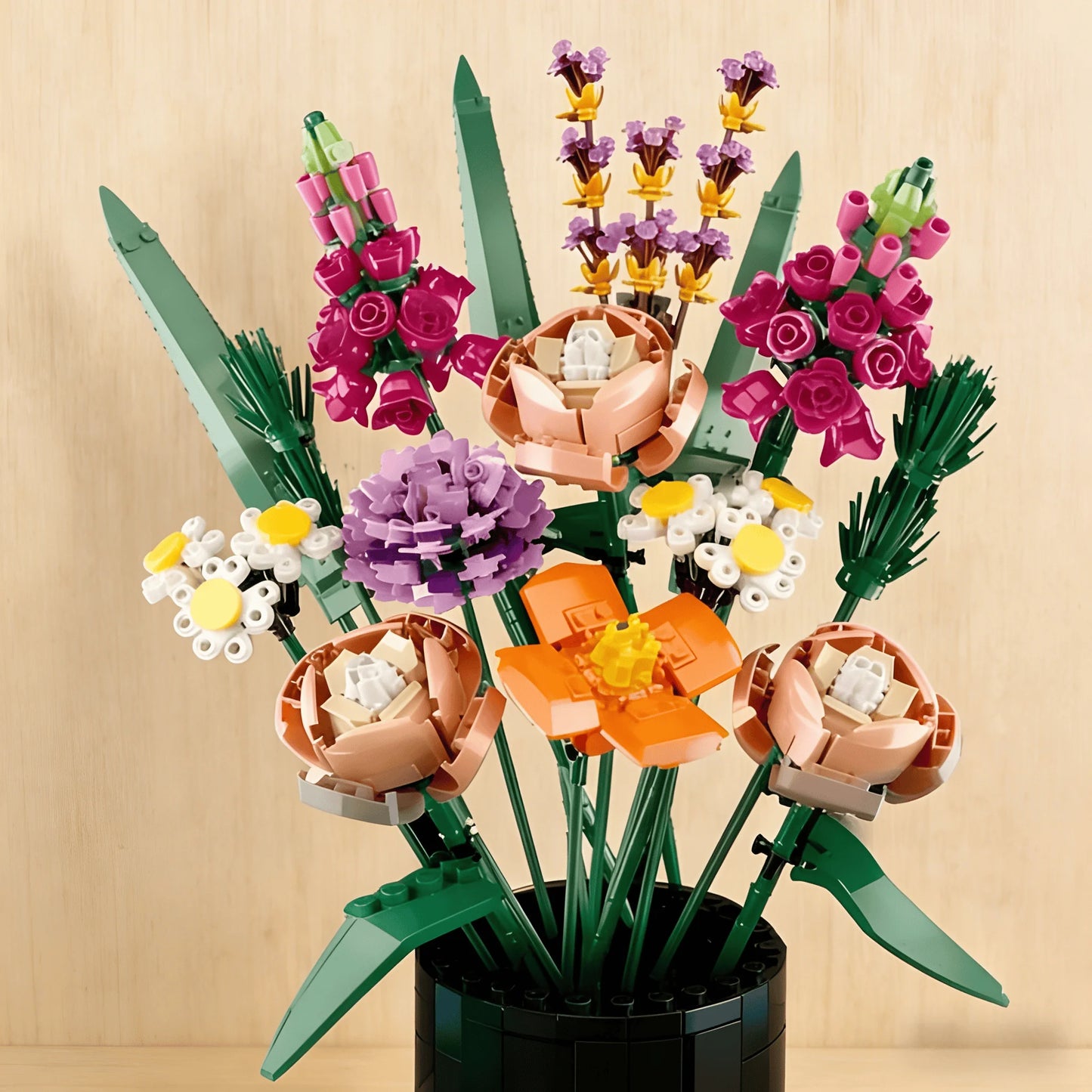 Orchid Bloom Collection