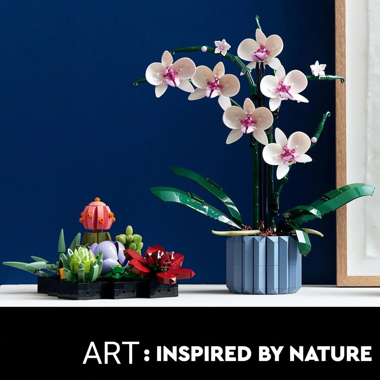 Orchid Bloom Collection