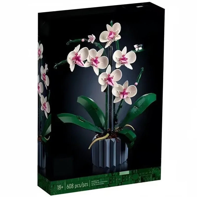 Orchid Bloom Collection