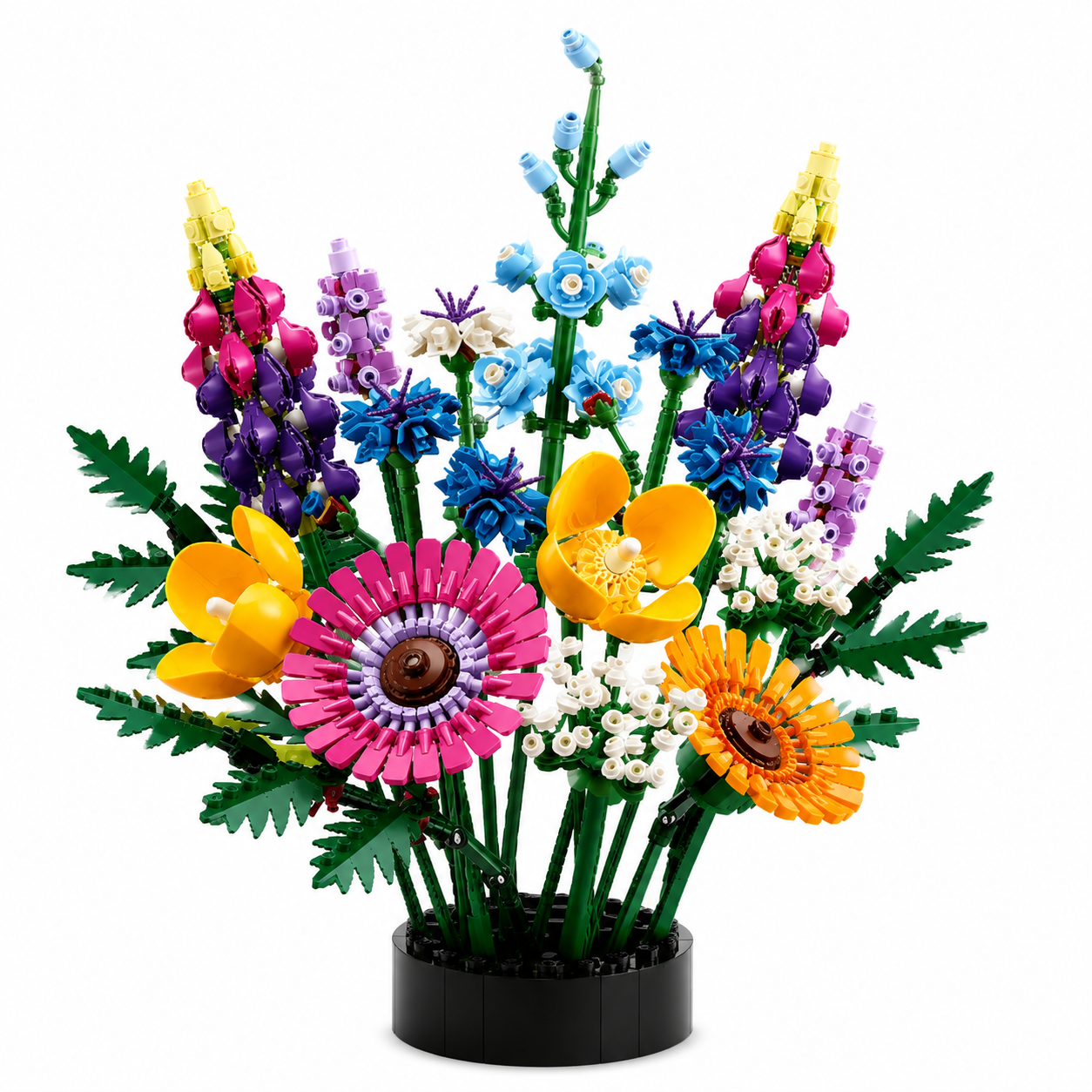 Orchid Bloom Collection